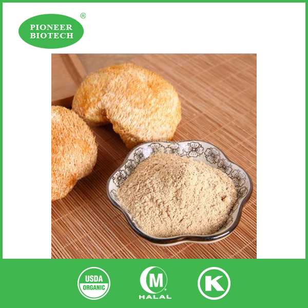 lion's mane extract bulk